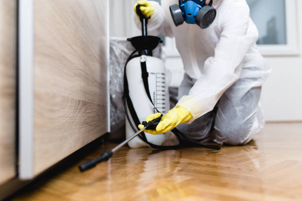 Best Commercial Pest Control Services  in Stockton, IL