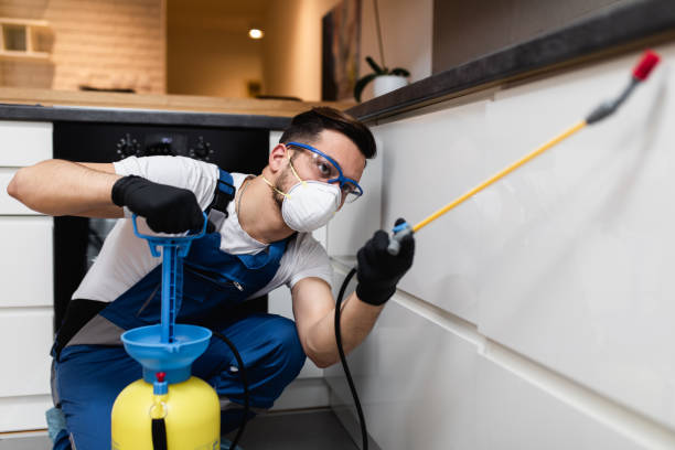 Best Wasp Removal Services  in Stockton, IL
