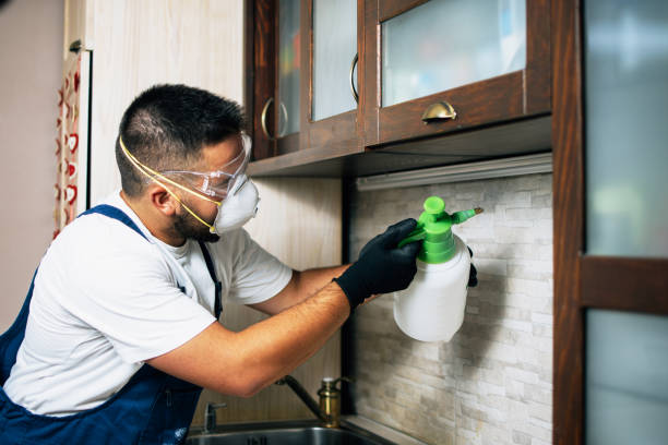 Best Wildlife Control Services  in Stockton, IL