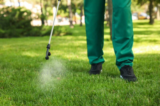 Best Affordable Pest Control Services  in Stockton, IL