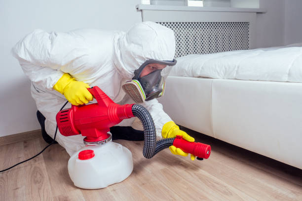Trusted Stockton, IL Pest Control Experts