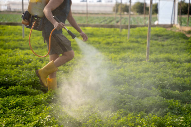 Pest Prevention Services in Stockton, IL