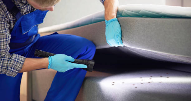  Stockton, IL Pest Control Pros