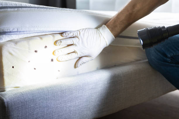 Best Best Pest Control Companies  in Stockton, IL