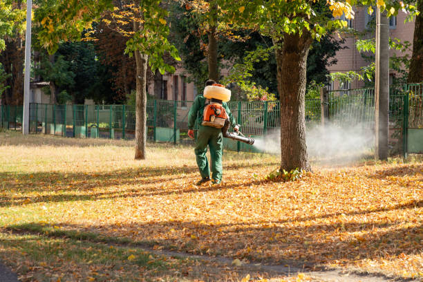 Pest Control for Restaurants in Stockton, IL
