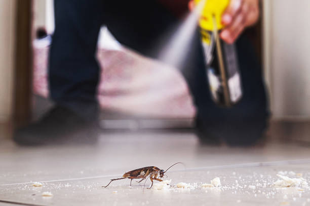 Best Local Pest Control Services  in Stockton, IL