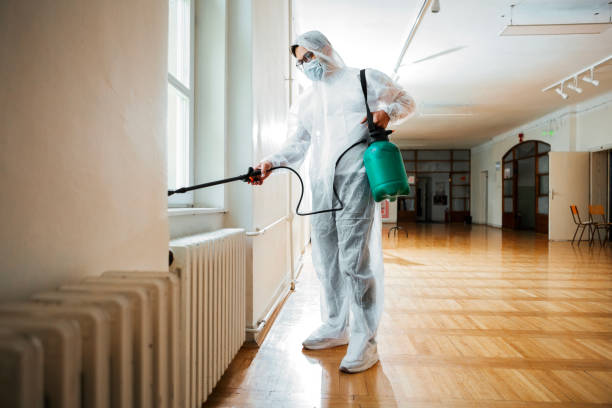 Best Cockroach Control Services  in Stockton, IL