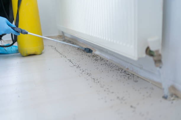 Best Ant Control Services  in Stockton, IL