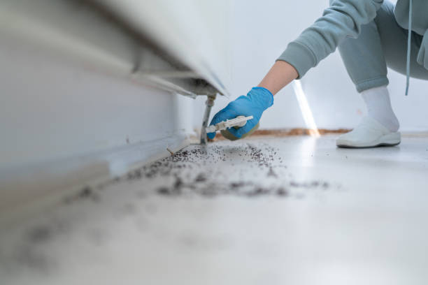 Best Affordable Pest Control Services  in Stockton, IL