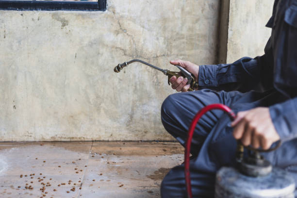 Best Best Pest Control Companies  in Stockton, IL